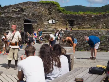 Roofvogelshow in Château de La Roche-en-Ardenne (België)